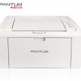 奔图（PANTNM）P2506 黑白激光打印机/ 22ppm A4幅面 1200×1200dpi 手动双面 适用耗材：PD-206 一年保修